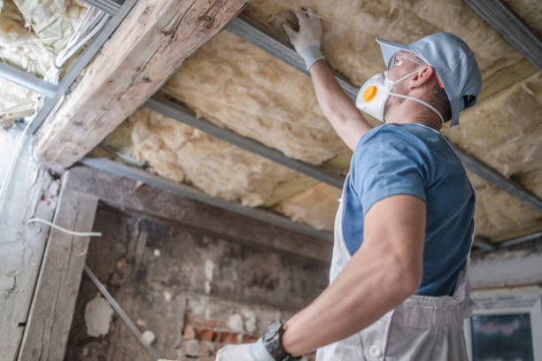 Best Geographic-Specific Insulation Services in Broomall, PA