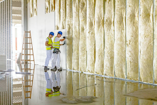 Best Eco-Friendly Insulation in Broomall, PA